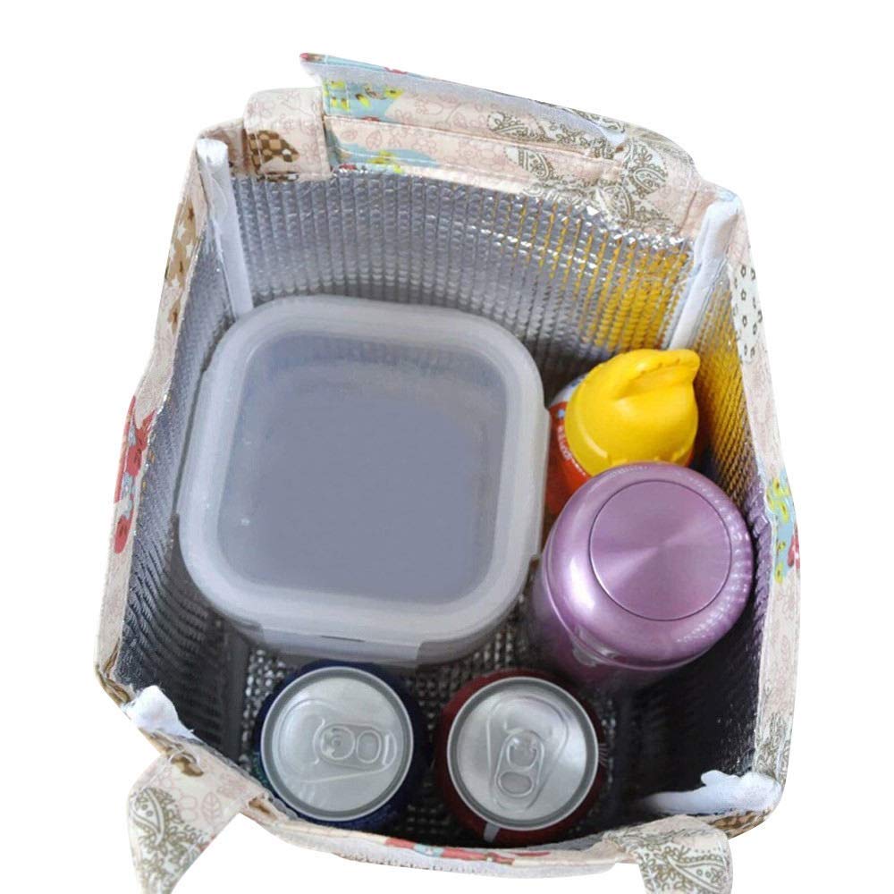 Portable Cooler Bag FOLD-Over Insulated Lunch Bag with Handle and Travel Tote Bag Office Lunch Bag - LUNCHBAGMX-BG